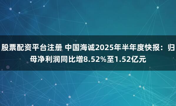 股票配资平台注册 中国海诚2025年半年度快报：归母净利润同比增8.52%至1.52亿元